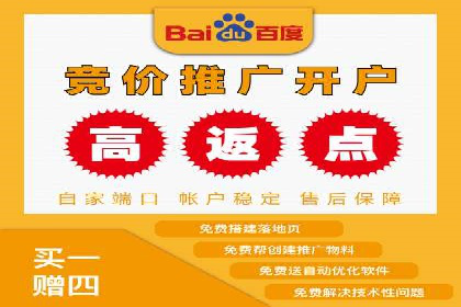 竞价排名关键词优化实战案例分析